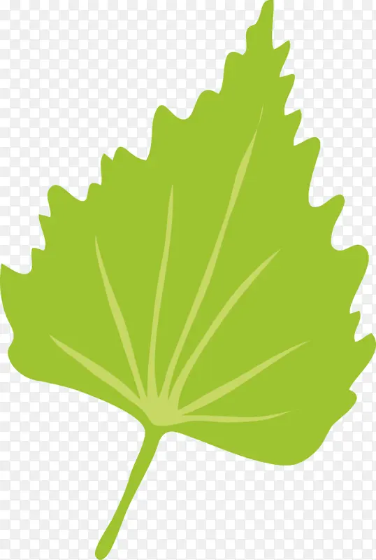 �߲� �߲�֭ ˮ��-������