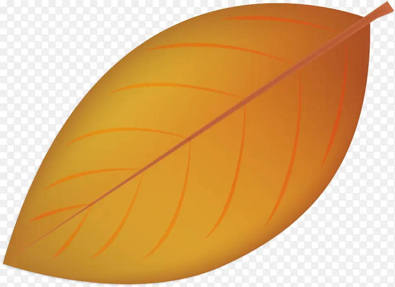 Ҷ�� ��ѧ ֲ��ṹ-������