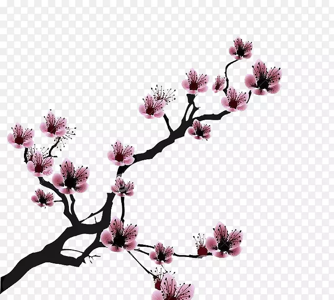 ӣ����Ƭ����-ӣ��-������