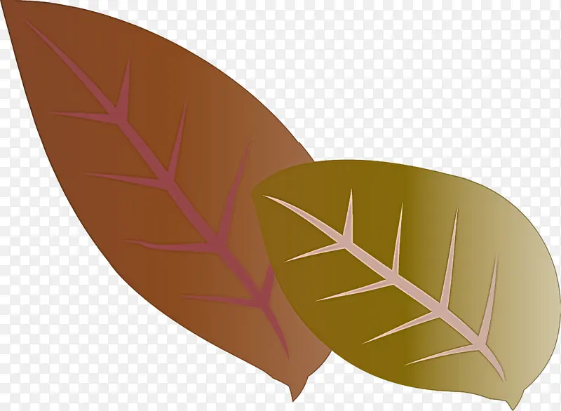 Ҷ�� ˮ�ʻ� ����-������