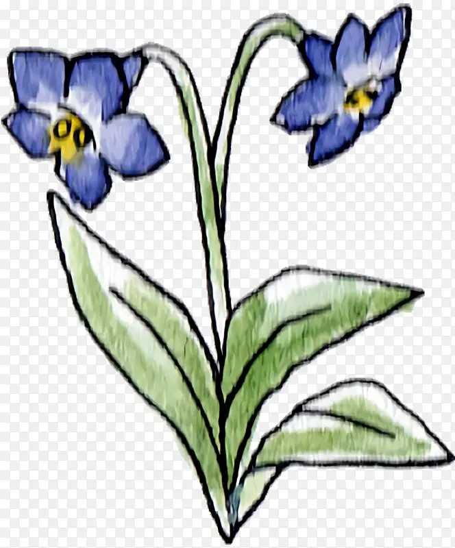 ֲ�ﾥ ���� �ݱ�ֲ��-������