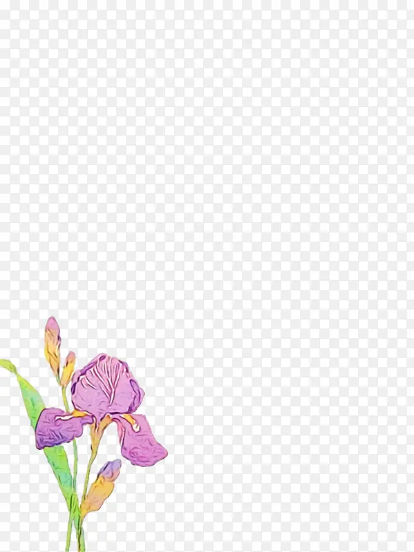 ˮ�� ���� ʪīˮ-������