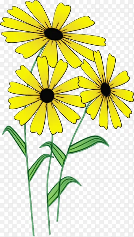 ˮ�ʻ� ���� ʪī-������