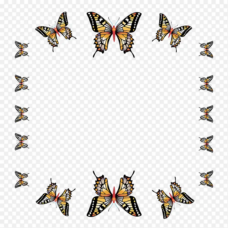 ������ ���� ����-������