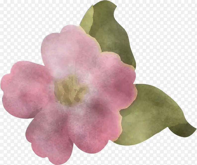 �� ֲ�� ��ѧ-������