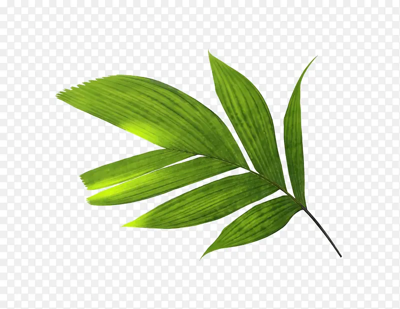 Ҷ ֲ�ﾥ ��-������