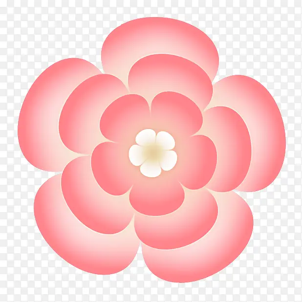 Բ �������Ǻ�Բ׶���� ��ѧ-������