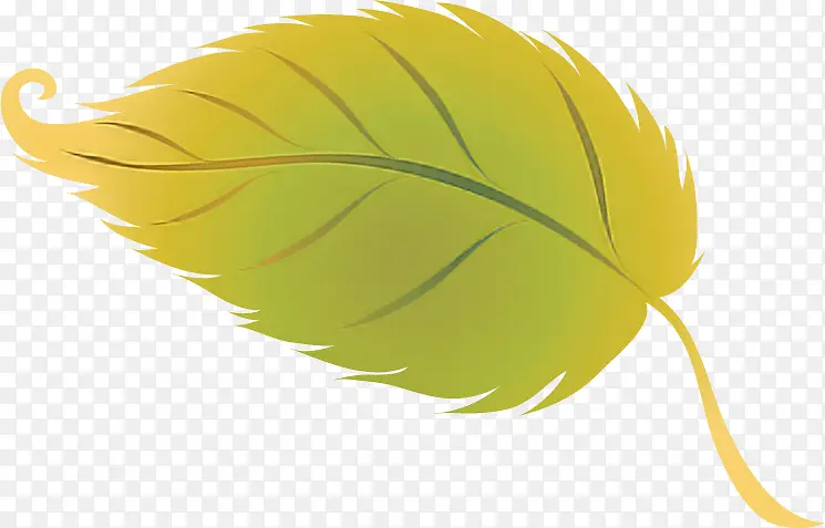 Ҷ�� Ҷ���߲� ˮ��-������