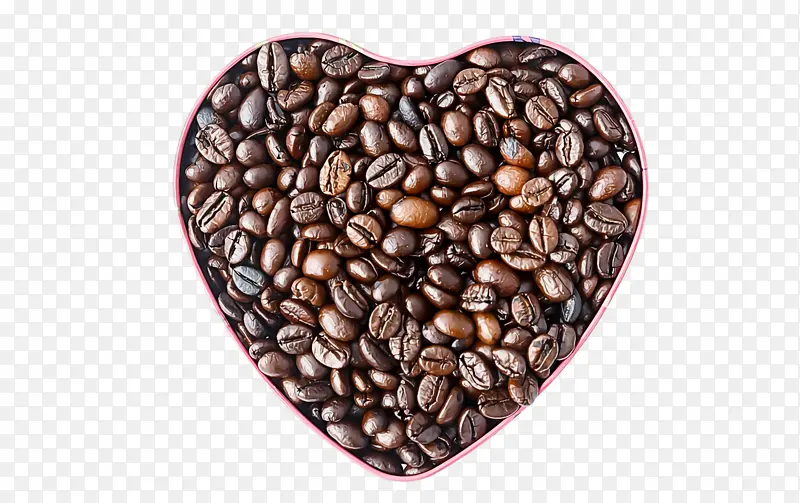 �������ɽ���� �ɿɶ� ����-������