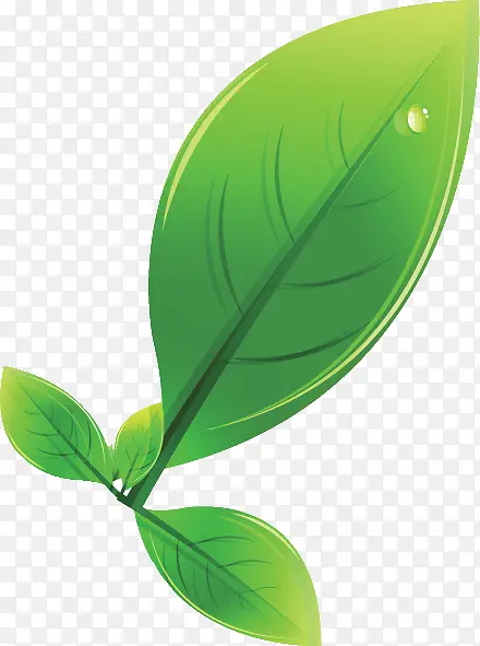 Ҷ�� ��ɫ ֲ��-������