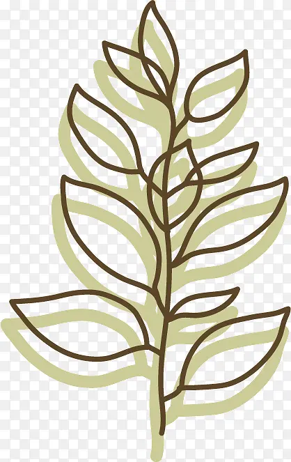 ��֦ ��ͨ Ҷ��-������