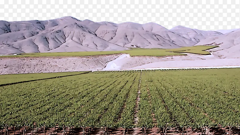 ��Ʒ �� ����-������