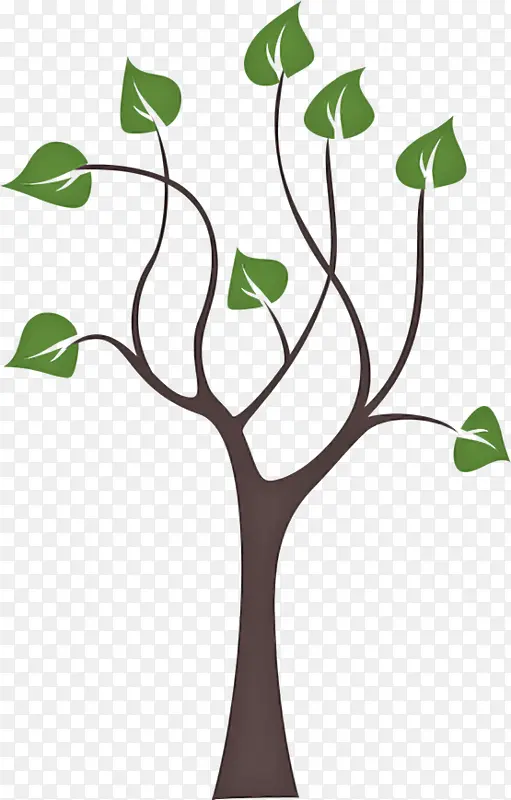 ��֦ �� ����-������