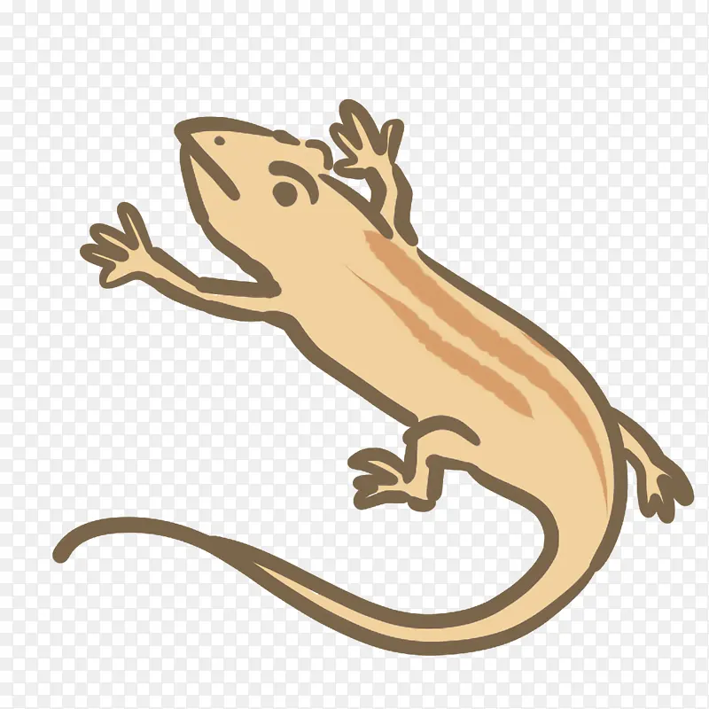 ���� ������� ��ѧ-������