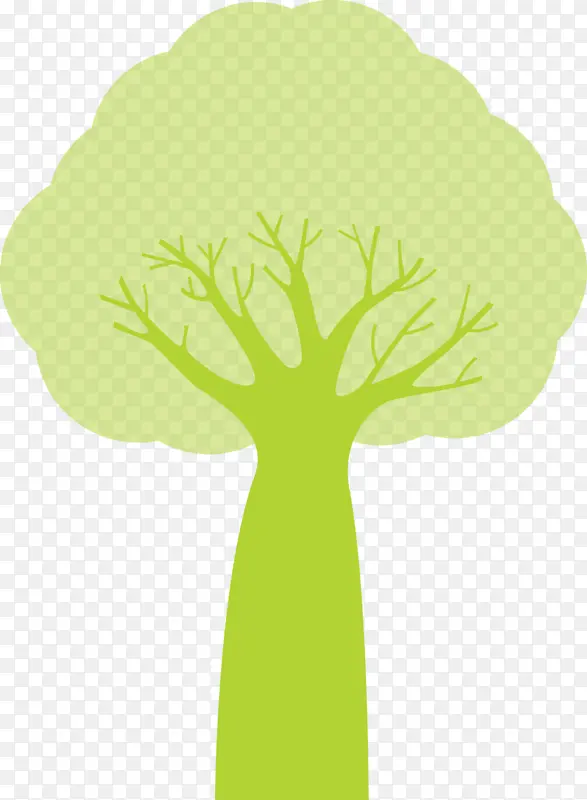 ��ͨ�� ������ ֲ�ﾥ-������