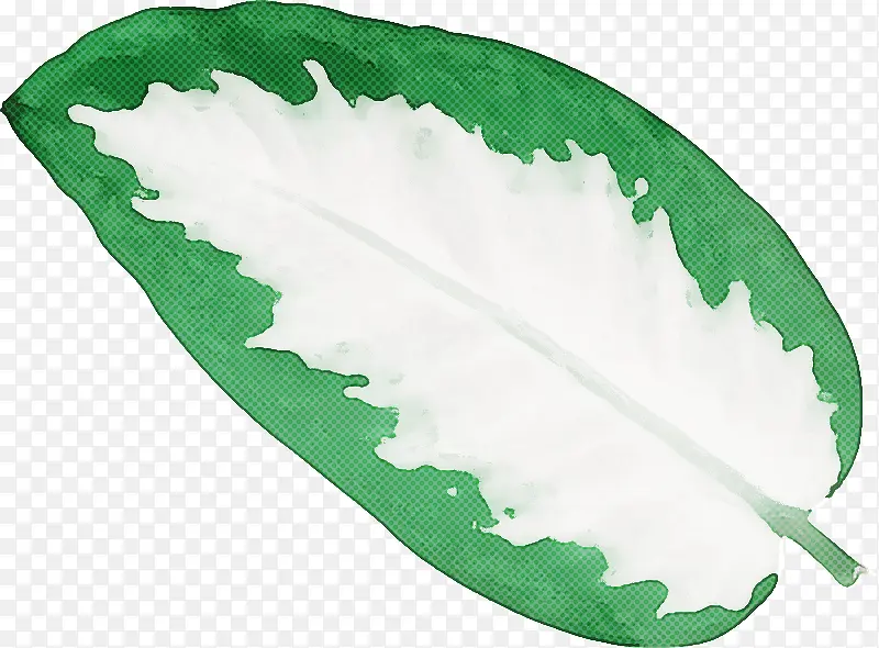 Ҷ�� ��ѧ ����ѧ-������