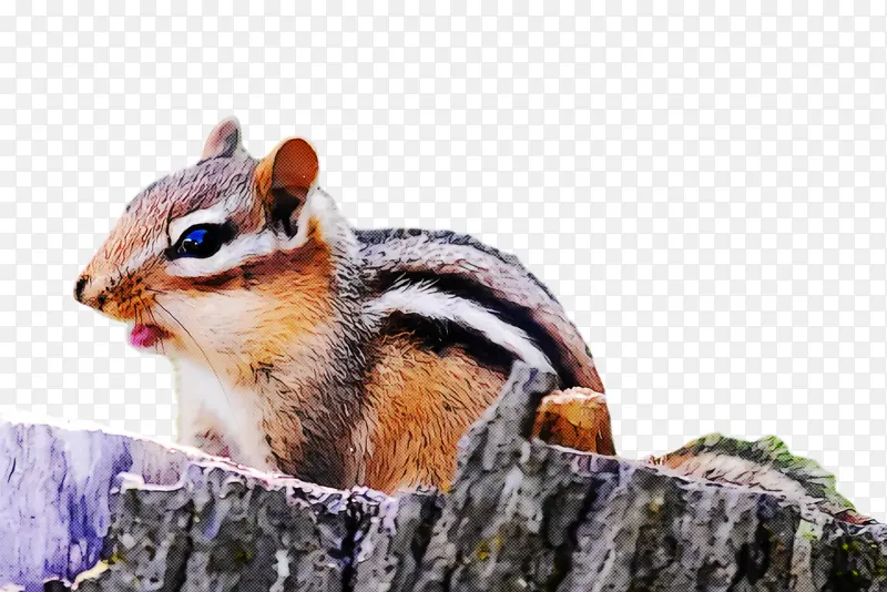 ��������������������-������