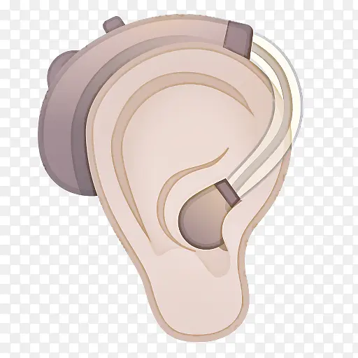 ���� ��ѧ ����-������