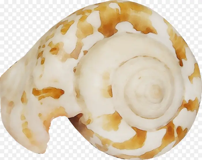 ˮ�� ���� ʪīˮ-������