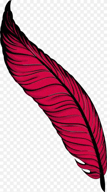 Ҷ �� ����ѧ-������