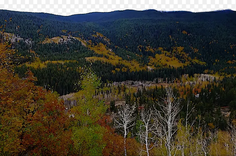 �´���Ҷ�ֺͻ콻�� ɽ�� ֲ��-������