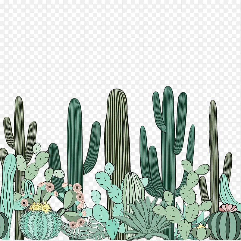 ��ͨ �� ��-������