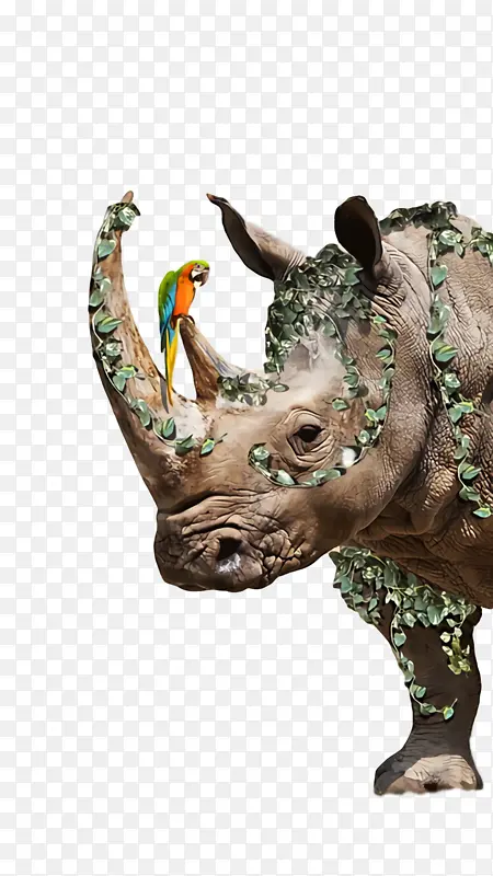 ӡ�ȴ��� ���� ����-������