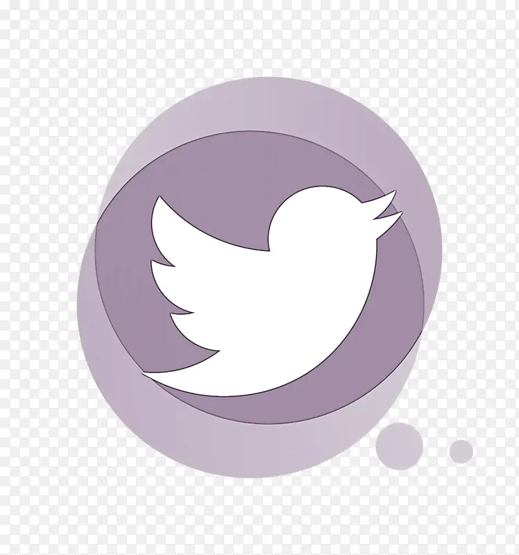 ���� �罻ý�� ��ͨ-������