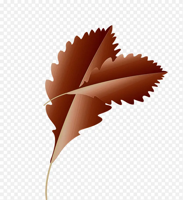 ��Ҷ ��ͨҶ ˮ�ʻ�-������