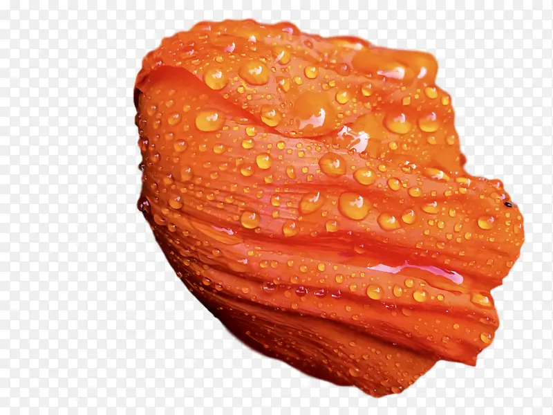 ���� ��ɫ-������