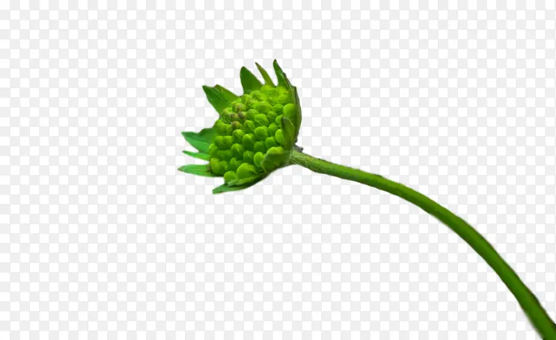 ֲ�ﾥ �� ��-������