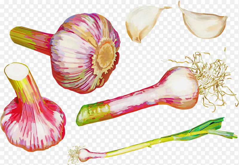 �߲� ������Ӱ ����-������