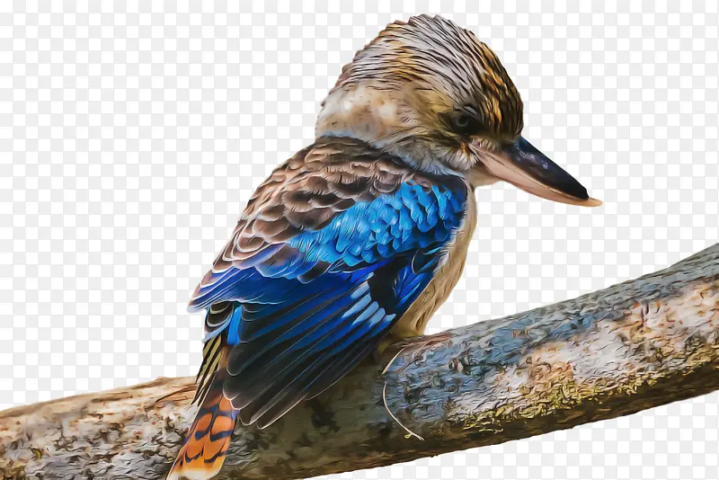 ���� �滭 ˮ�ʻ�-������