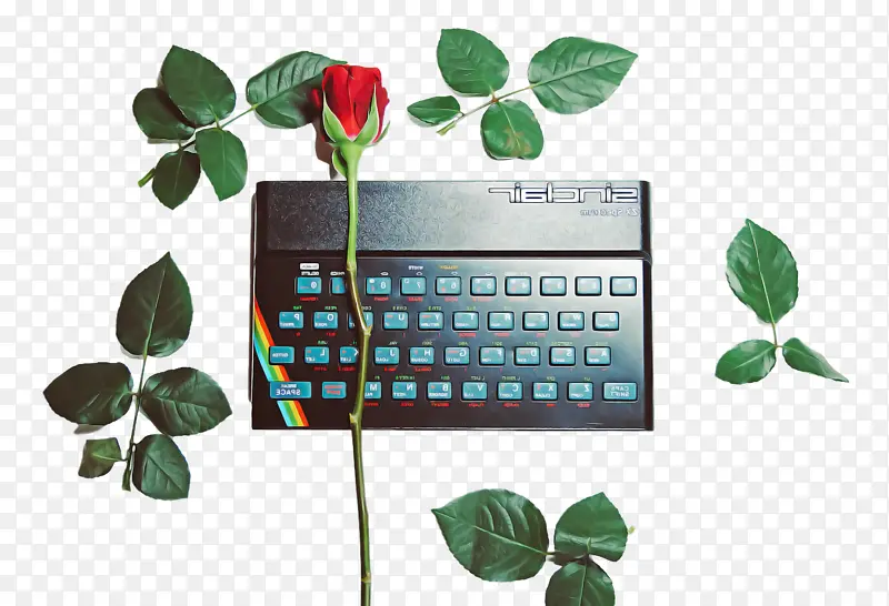 Ҷ �� ��ѧ-������