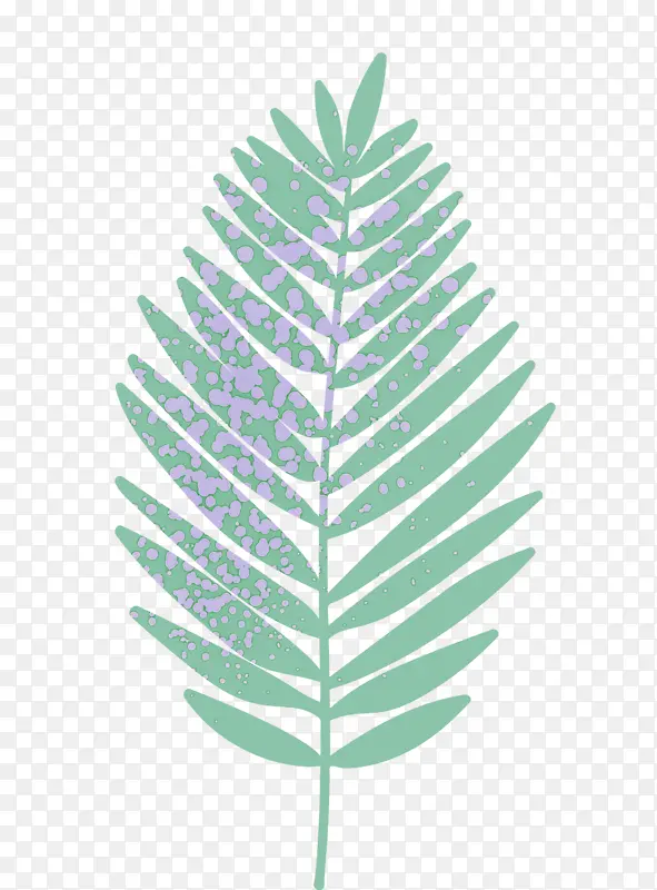 ��֦ Ҷ�� ֲ�ﾥ-������