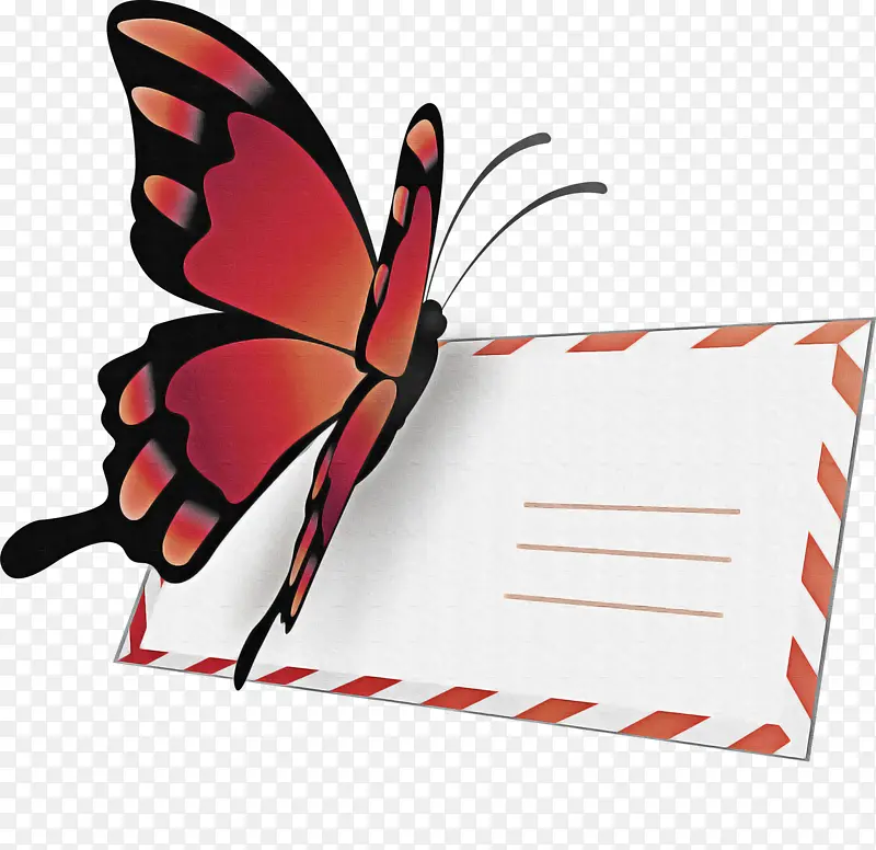 ������ ���� ����-������