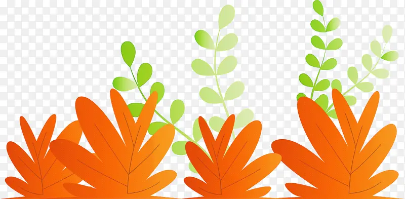 �� ֲ�� �û�����-������