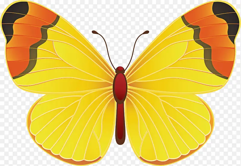 ���� ���� ��ɫ-������