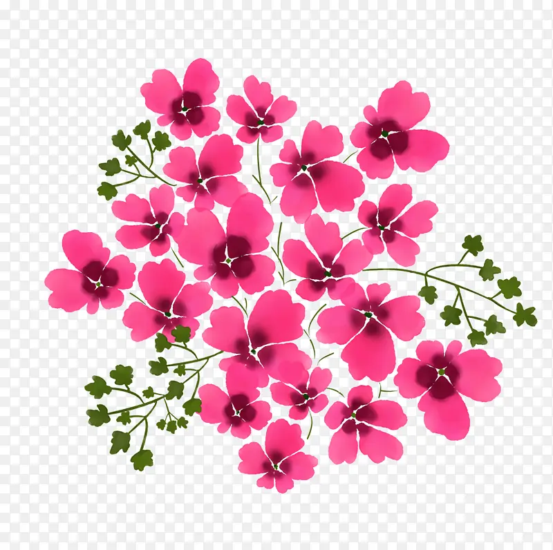 ˮ�ʻ� �ͻ� ˮý��-������