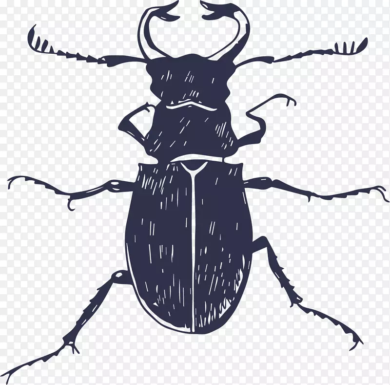 ���溣��-���Ƽ׳�-������