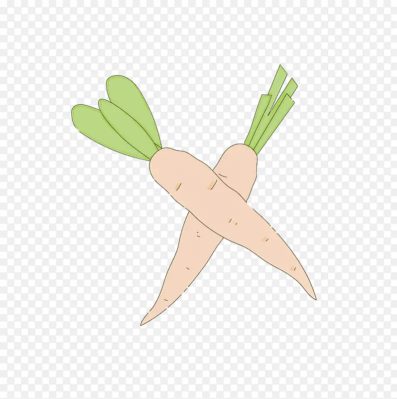 Ҷ�� ��ѧ ����ѧ-������