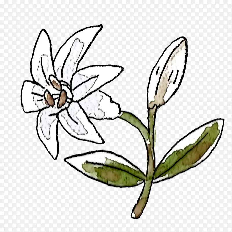 ���� ֲ�ﾥ �۳�Ŀ-������