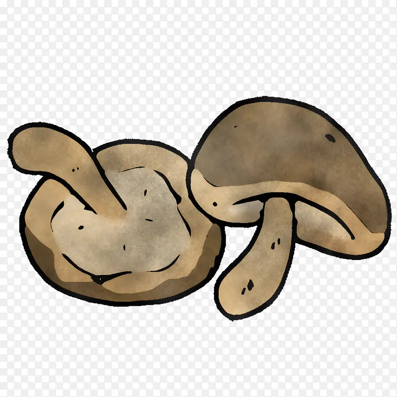 �����߲� Ģ��-������