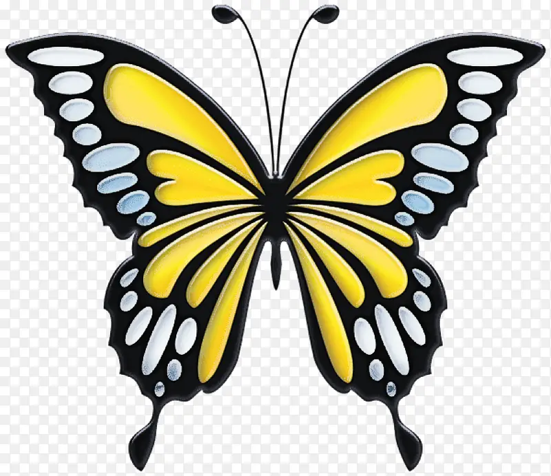 ���� ���� ������-������