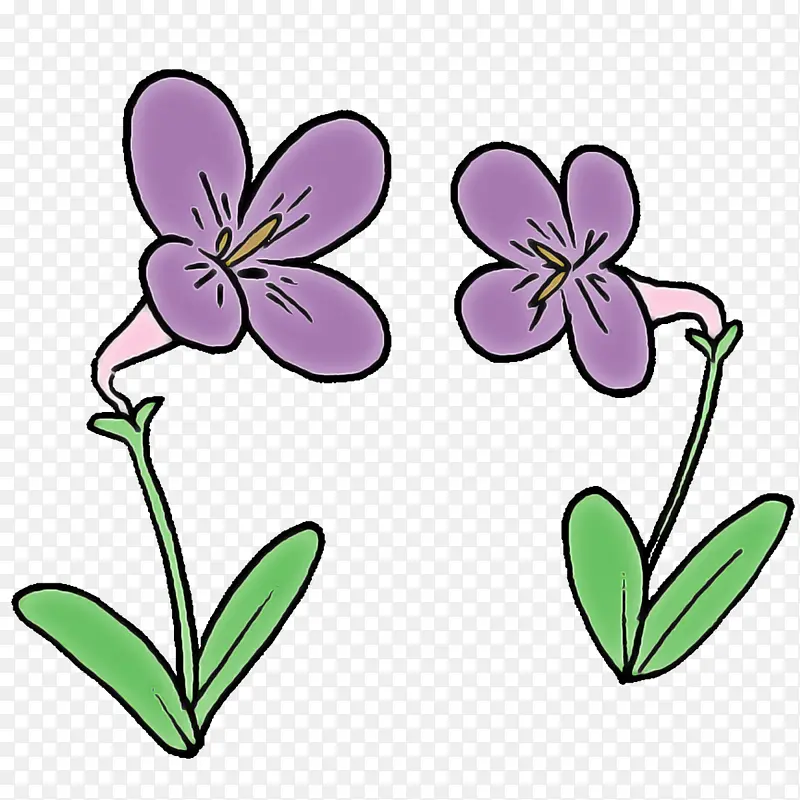 ������� ���� ����-������