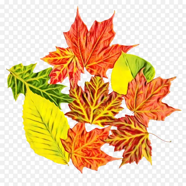 ˮ�ʻ� ���� ʪī-������