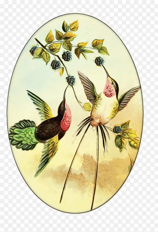 ˮ�� ���� ʪīˮ-������