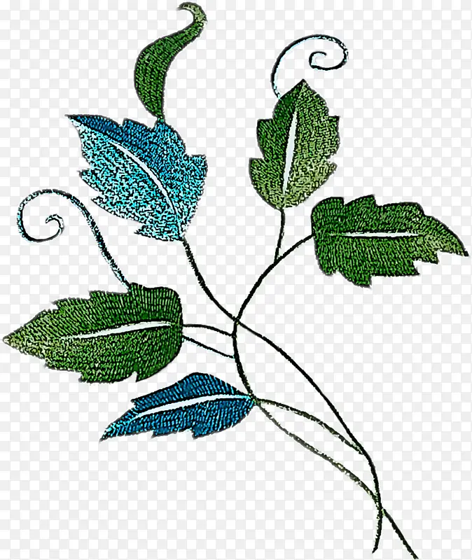 ��֦ Ҷ�� ֲ�ﾥ-������