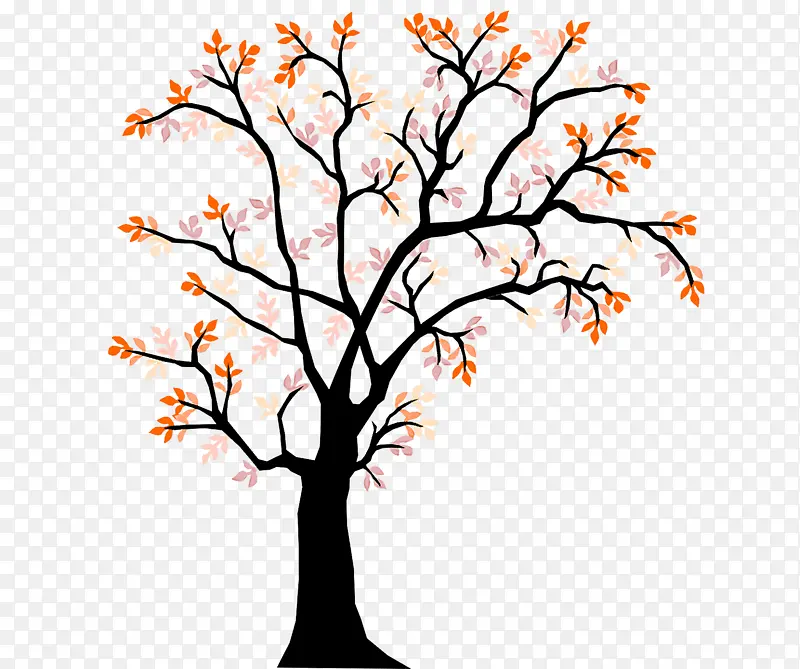 ��֦ Ҷ�� ֲ�ﾥ-������