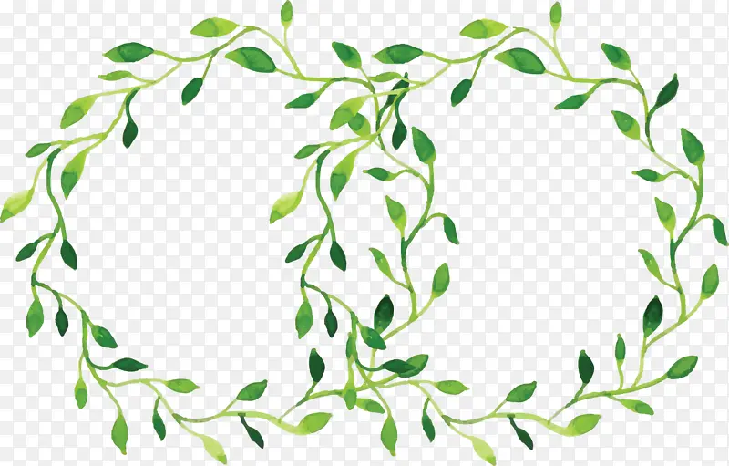 ��ӭ���� ��֦ ֲ�ﾥ-������